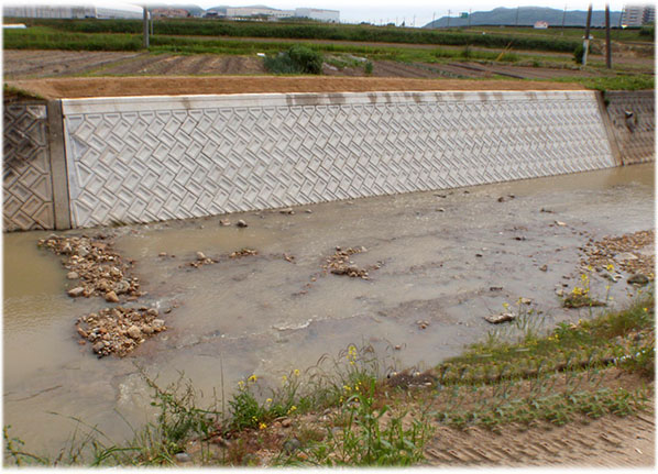 （二）市川水系平田川河川災害復旧工事（1工区）